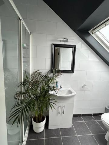 The Lodge, Monkstown Monkstown  Екстер'єр фото
